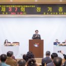 서구-37 이미지