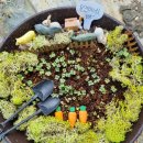 윤민농장 이미지