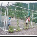 좋은이웃펜션 이미지