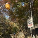 초연스테이 | [템플스테이] 금선사 템플스테이