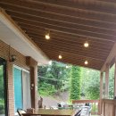 고둔치 솔가 이미지