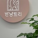 반냥트리 이미지