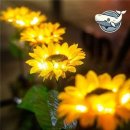 YJ태양광 이미지