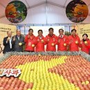 제15회 청송사과축제 이미지