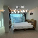 세븐일레븐 신화점 | 제주 안덕면 펜션 소남못펜션 재방문 후기 과수원과 이쁜 벽화가 있는 곳 장기숙박 가능