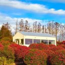 남원읍-94 이미지