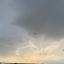 시장얼음 - 공주시 | 오이도 난전시장 방문후기꿀팁 영업시간 준비물 :)