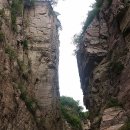 이박통상 이미지