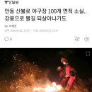 안동 산불로 야구장 100개 면적 소실..강풍으로 불길 되살아나기도 이미지