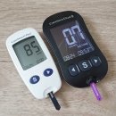 평일관 | 키토제닉(저탄고지) 1412일차 - 풀린 주말 수습하기