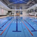 웰빙수영장 이미지