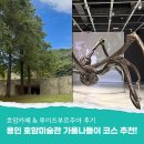 호암플라자 | 서울 전시회 11월 실내데이트 전시 직접보고 추천하는 4곳