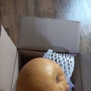부산우리농 영농조합법인
