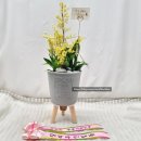 징리보건진료소 이미지