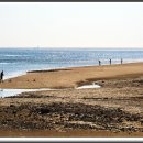 백사장해변 이미지