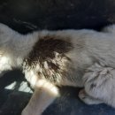 삼산1길 이미지