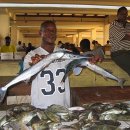 공동어시장 입구 이미지