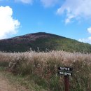 솔오름주차장 이미지