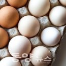 알 동양뉴스