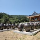맹골사랑 이미지