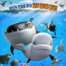 벨루 이미지