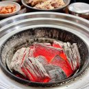 경포파인 이미지