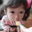 흥선천 이미지