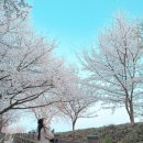 강촌강변마을 이미지