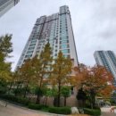 상대동-6 이미지