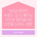 림프순환관리해도 부종이 잘 안 빠지는 이유 셀프괄사로 순환을 되찾는 방법