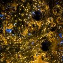 더일상마켓 이미지