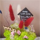 엘속눈썹 이미지