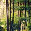 리뉴치과교정과치과의원 이미지