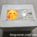 더베이글스