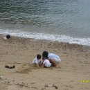 풍남파크 이미지