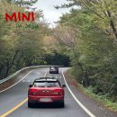 상진약국 | 내 차로 3박4일 제주 여행 프로젝트 with MINI &amp; People