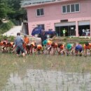 뮤코 협동조합 이미지