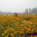 금배농장 이미지