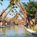 힐링카약파크비체올린 이미지