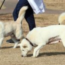 광주광역시 우치동물원 동물병원 이미지