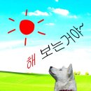 부토산업 | [미국인턴준비] J1 미국 인턴 준비 타임라인ㅣK-move부터 대사관 인터뷰까지