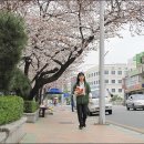 덕진구청 이미지