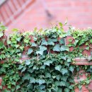 용호근린공원 이미지