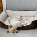 바보낙지 네이버블로그