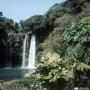 천지연 폭포 이미지