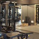 라비아 피트니스 이미지