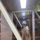 상어여? 이것은 고래상어다::보홀여행기1(버뮤다스파/원클릭투어/고래상어투어/나팔링투어/도도스파 후기)