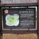 해곡천 이미지