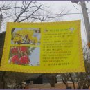 산수유축제장 이미지