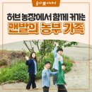 서씨농장 | 오늘도 우리는 맨발의 청춘! 허브 농장에서 함께 커가는 맨발의 농부